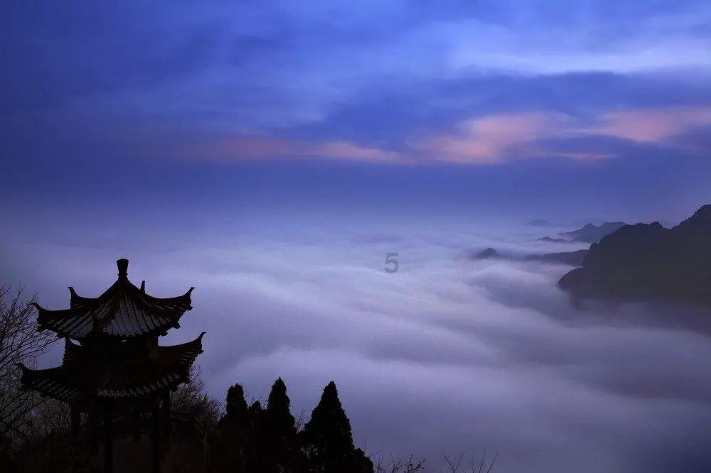 热带天堂找不同